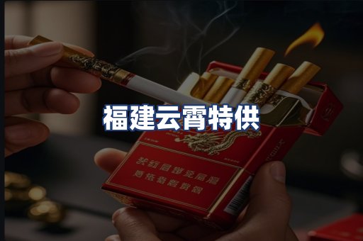 福建云霄特供